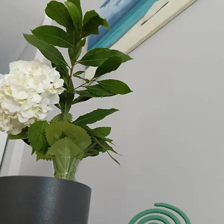 Bed & Breakfast Casa Di Alice 3*